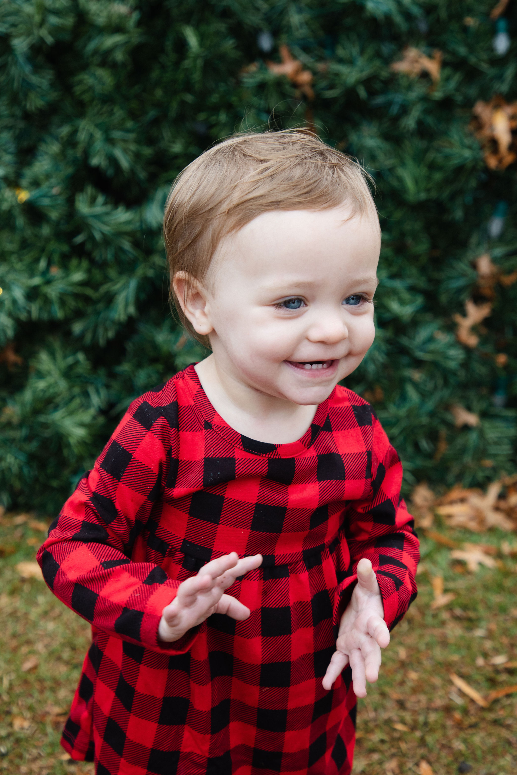 Toddler in red buffalo plaid clapping and laughing in front of a Christmas tree — holiday portrait by Karmil Studios