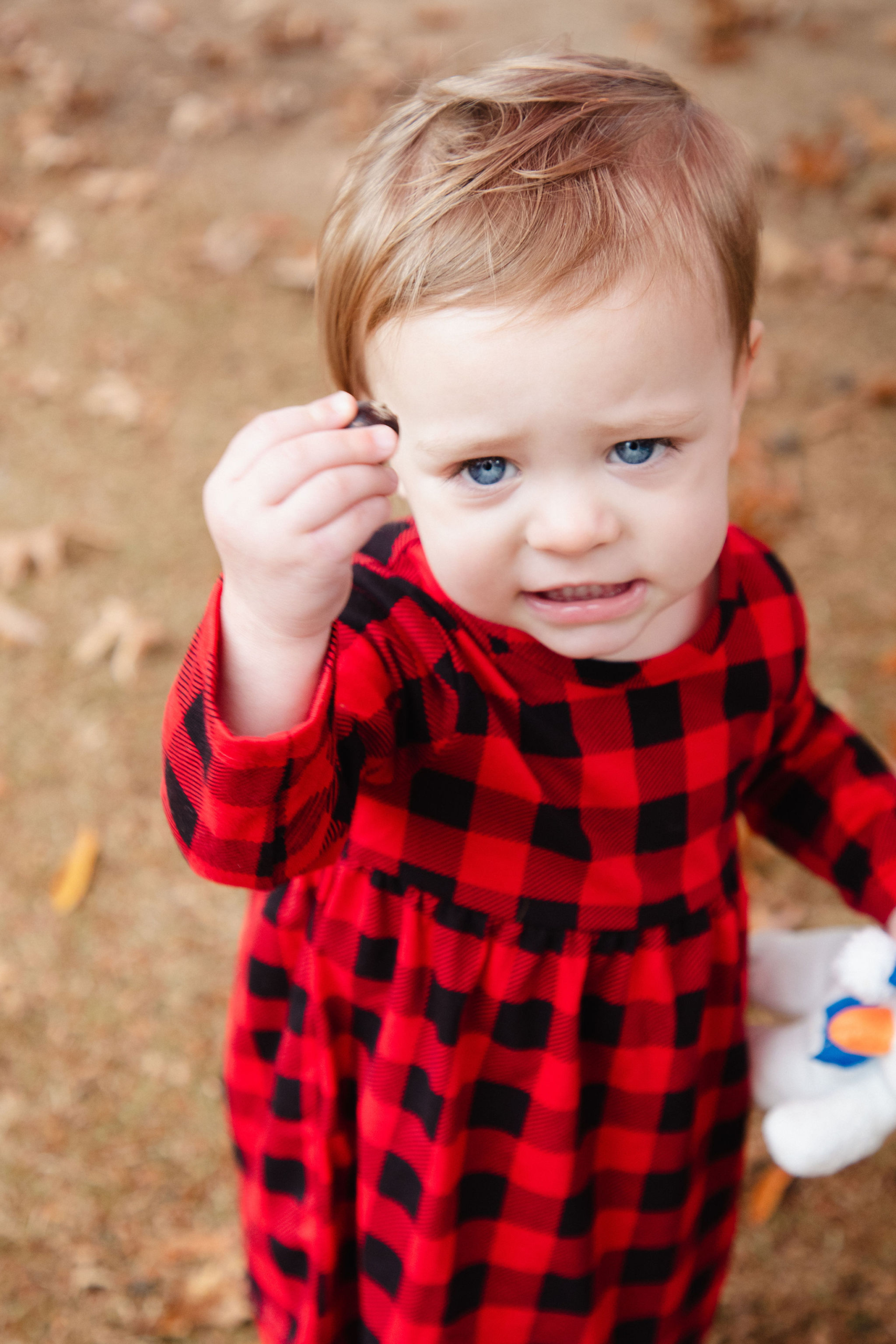 Toddler in red buffalo plaid looking up curiously at the camera during a holiday family session by Karmil Studios
